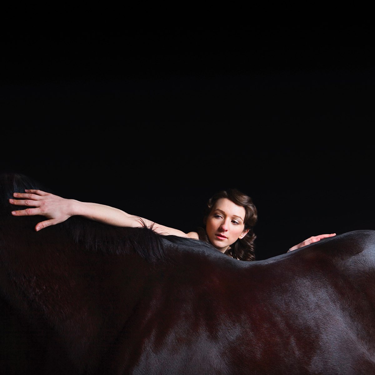 My Brightest Diamond, Bring Me the Workhorse