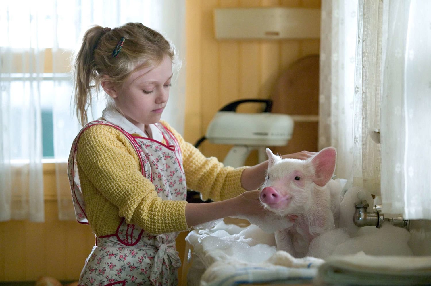 A Humble Radiance: Charlotte's Web