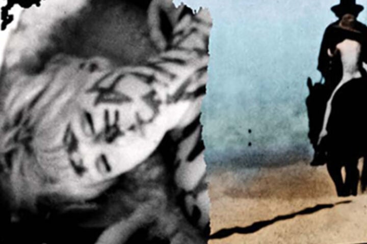The Films of Alejandro Jodorowsky