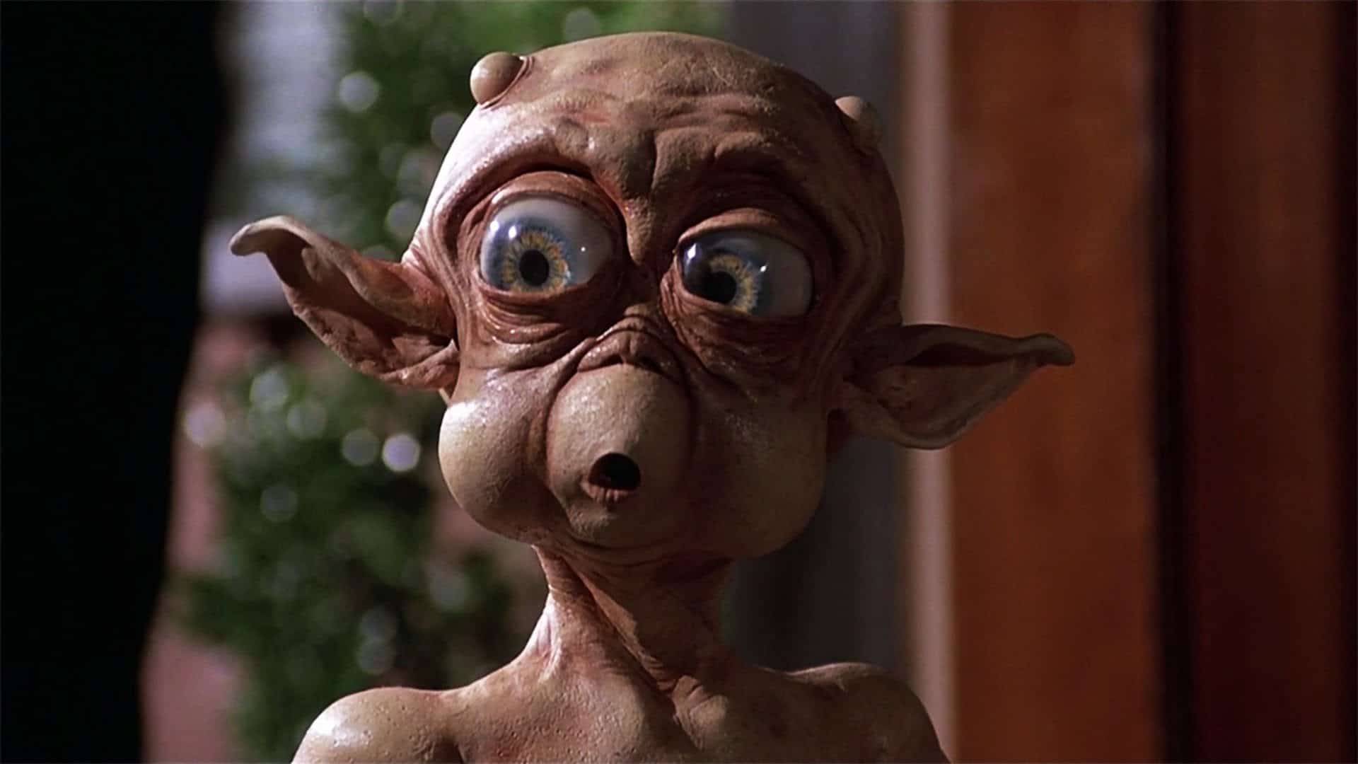Mac and Me Day