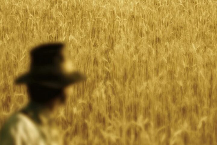 Days of Heaven