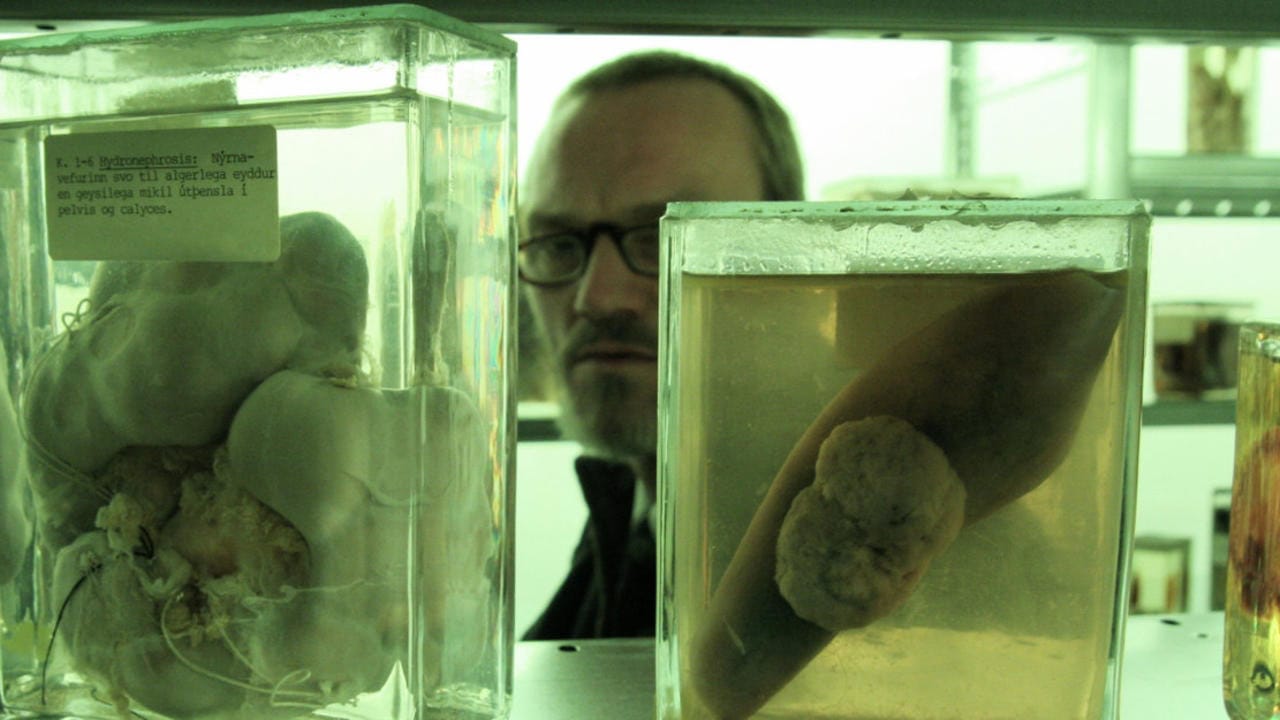 No-Man’s Land: Baltasar Kormákur’s Jar City