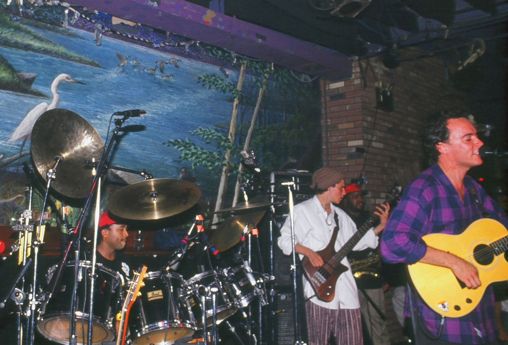 Wetlands Preserved: The Story of an Activist Nightclub