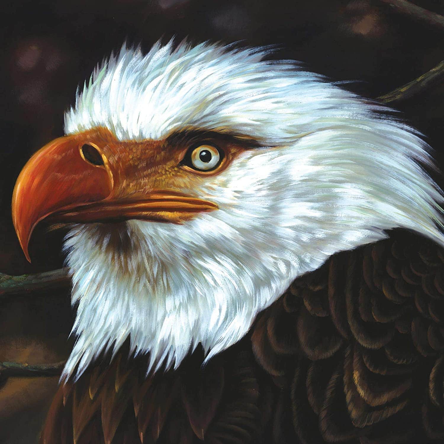 Mogwai, The Hawk Is Howling