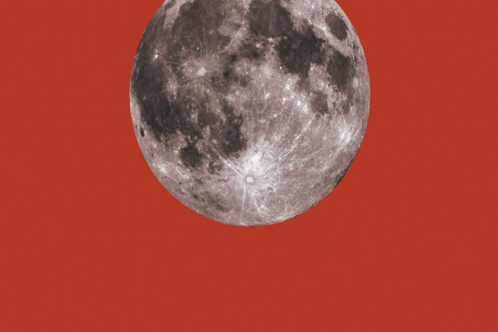 Ani DiFranco, Red Letter Year