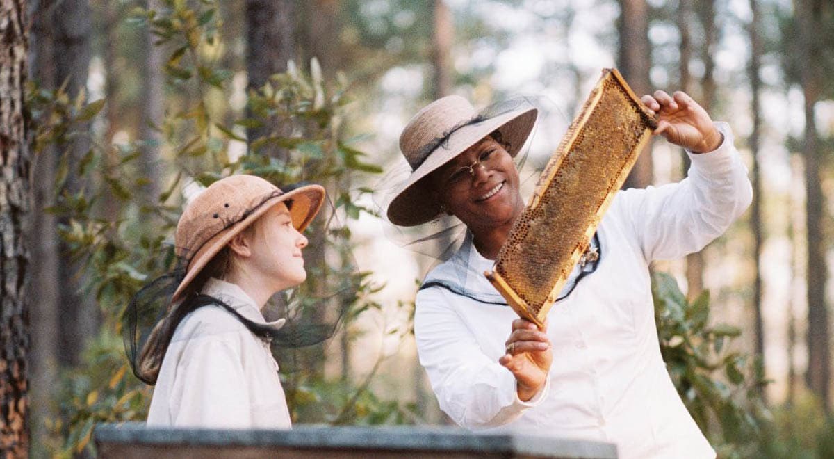 Review the secret life of bees slant magazine
