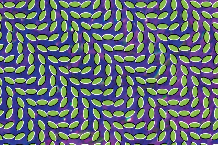 Animal Collective, Merriweather Post Pavilion
