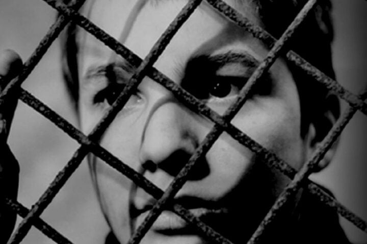 The 400 Blows