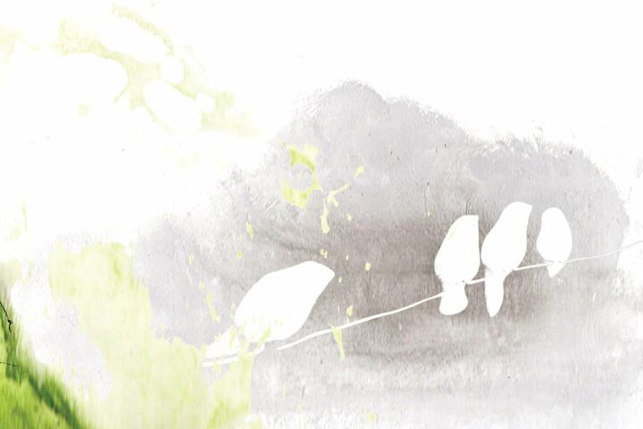 Katie Herzig, Apple Tree