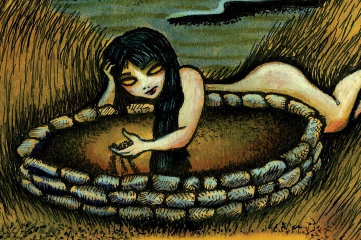 Drive-By Truckers, The Fine Print (A Collection of Oddities and Rarities 2003 - 2008)