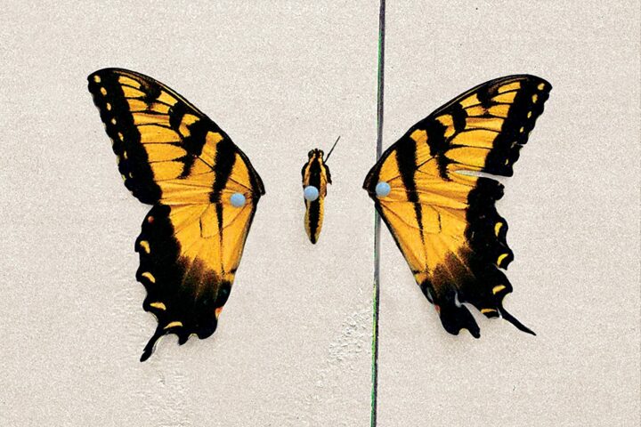 Paramore, Brand New Eyes