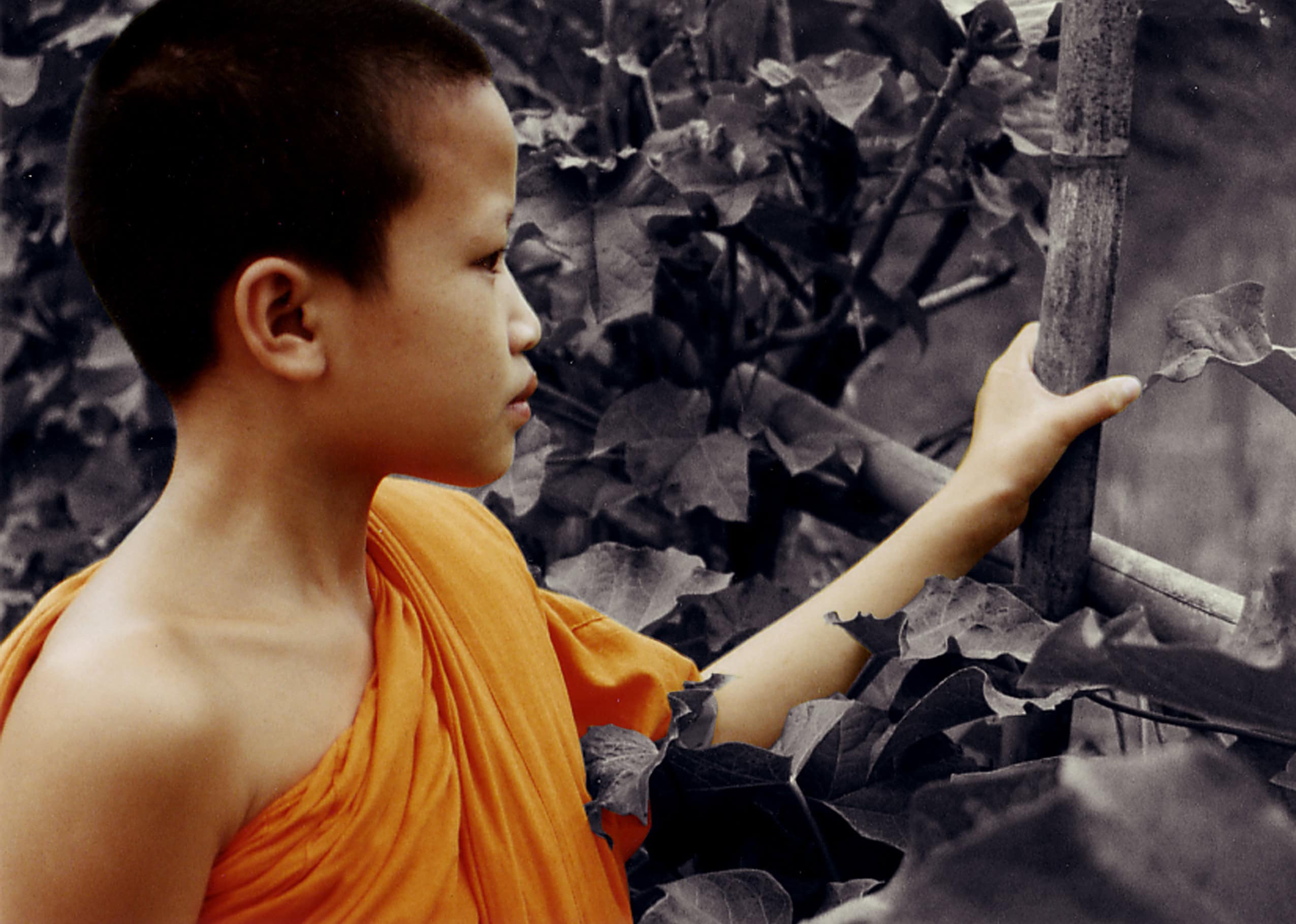 Full Frame Documentary Film Festival 2010: Today Is Better Than Two Tomorrows