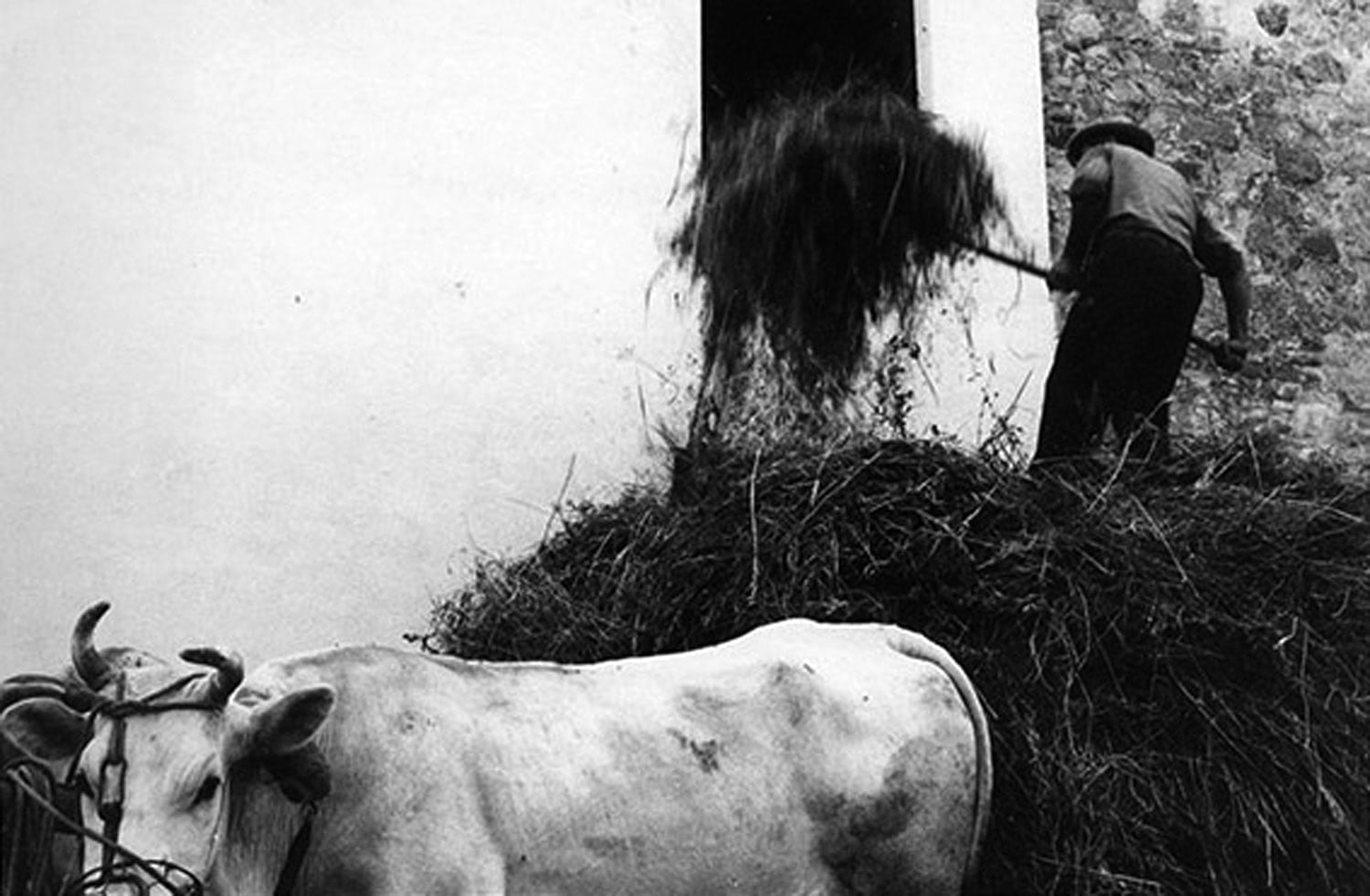 A Movie a Day, Day 54: The Peasant and the Priest