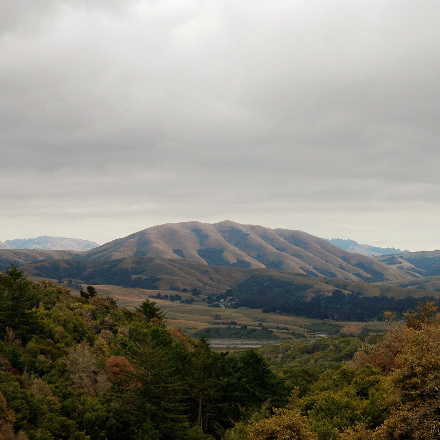 Dirty Projectors and Björk, Mount Wittenberg Orca