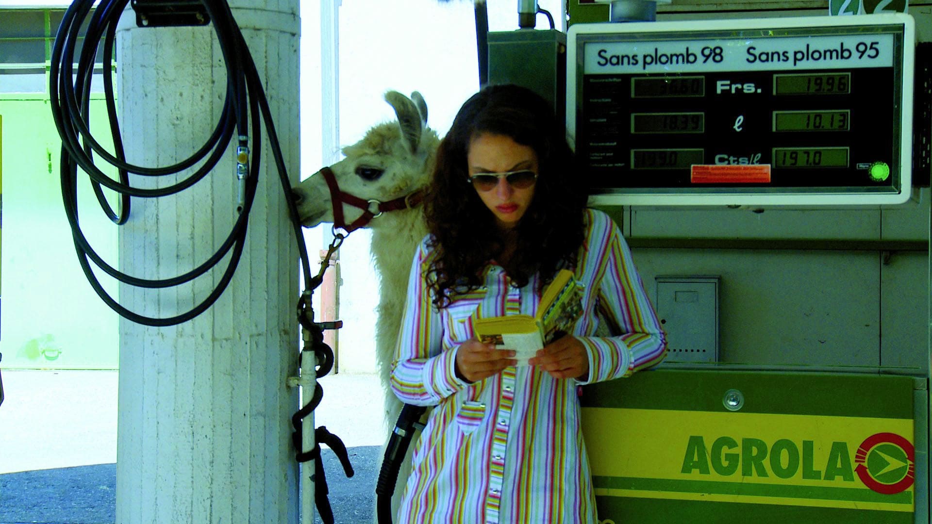 New York Film Festival 2010: Film Socialism
