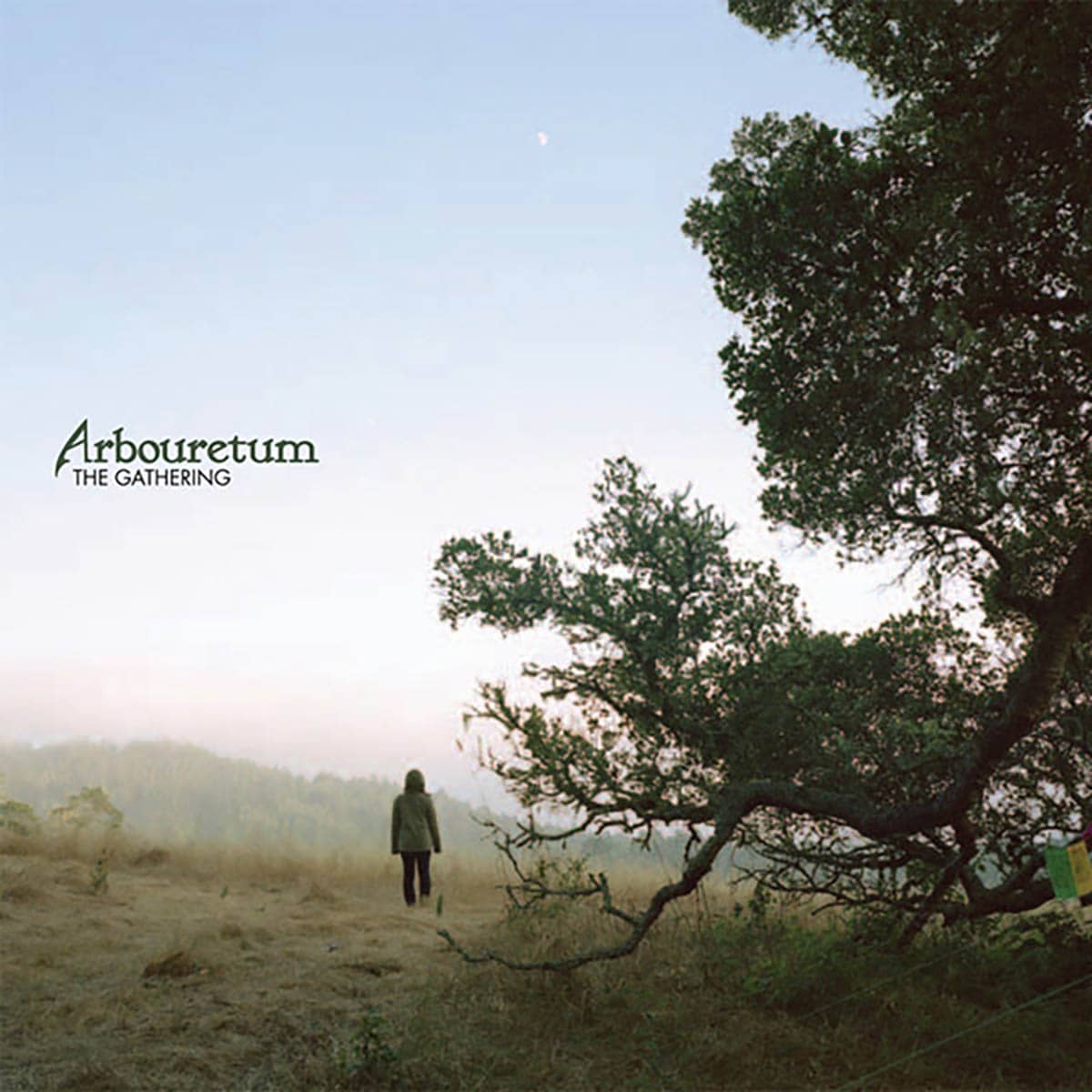 Arbouretum, The Gathering