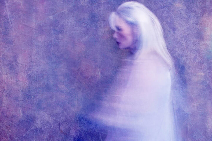 Emmylou Harris, Hard Bargain