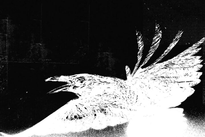 The Raveonettes, Raven in the Grave