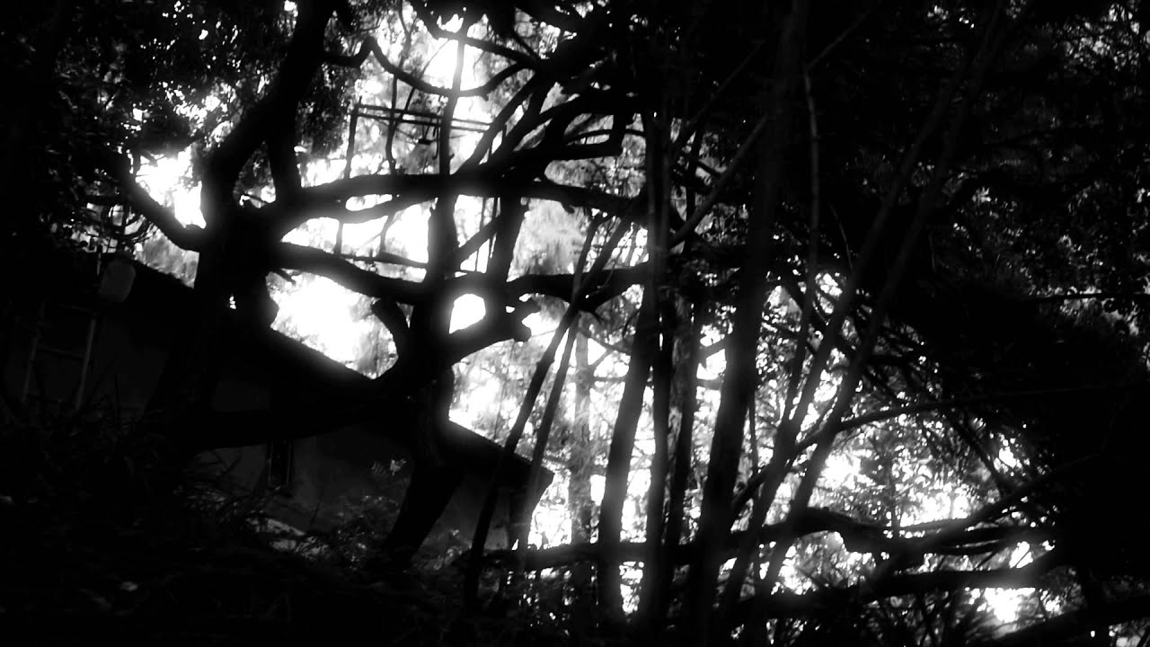 Viennale 2011: Sing Your Song, The Snows of Kilimanjaro, Americano, & More