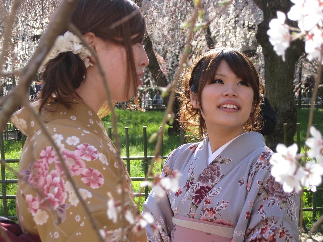 DOC NYC 2011: The Tsunami and the Cherry Blossom and Minka