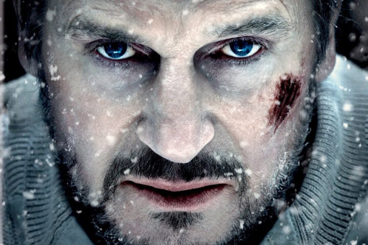 The Grey