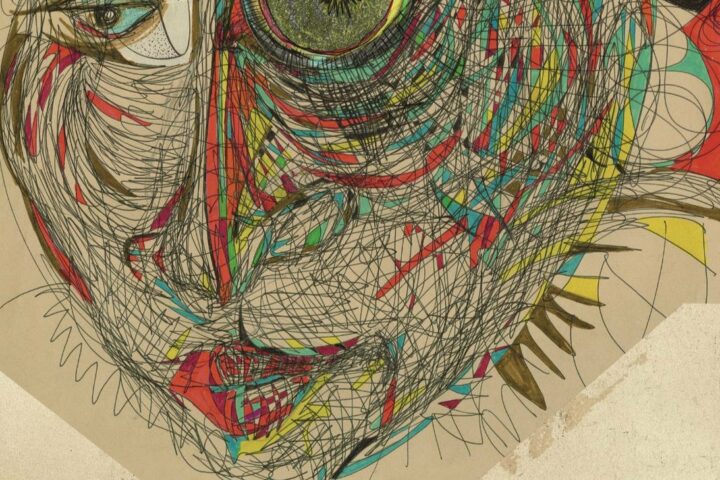 Fiona Apple, The Idler Wheel