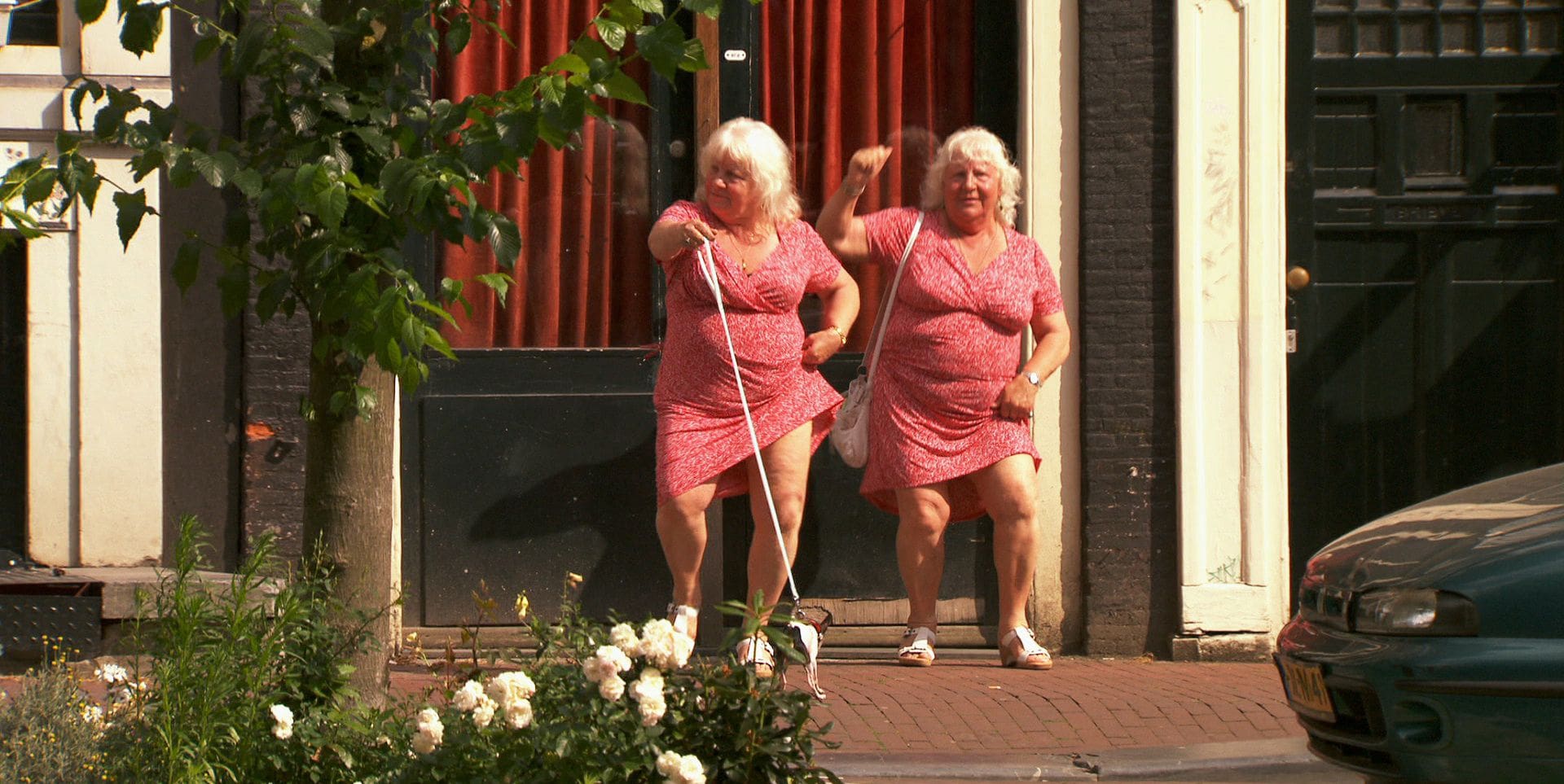 Meet the Fokkens
