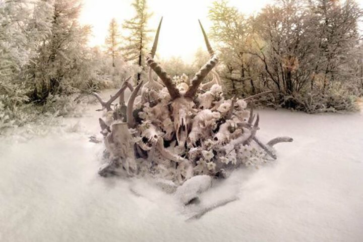 Soundgarden, King Animal