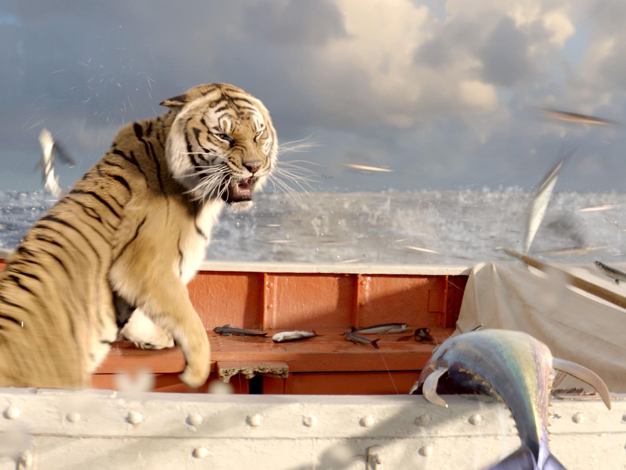 Life of Pi