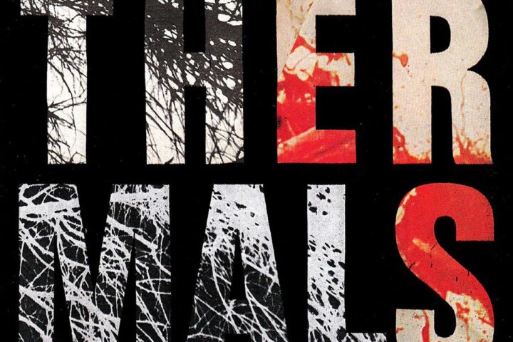 The Thermals, Desperate Ground