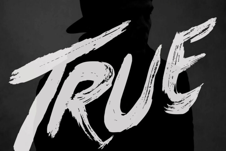 Avicii, True
