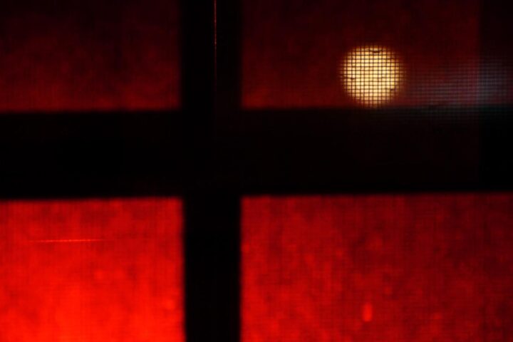 Berlinale 2015: Counting