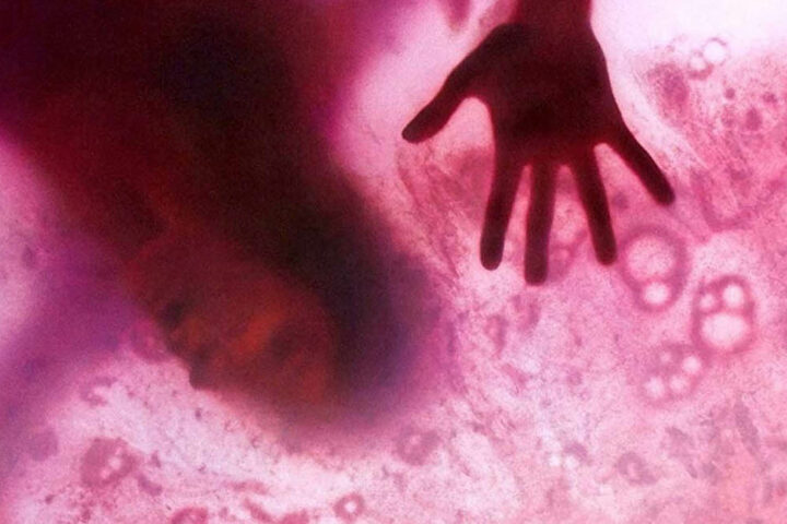 The Blob