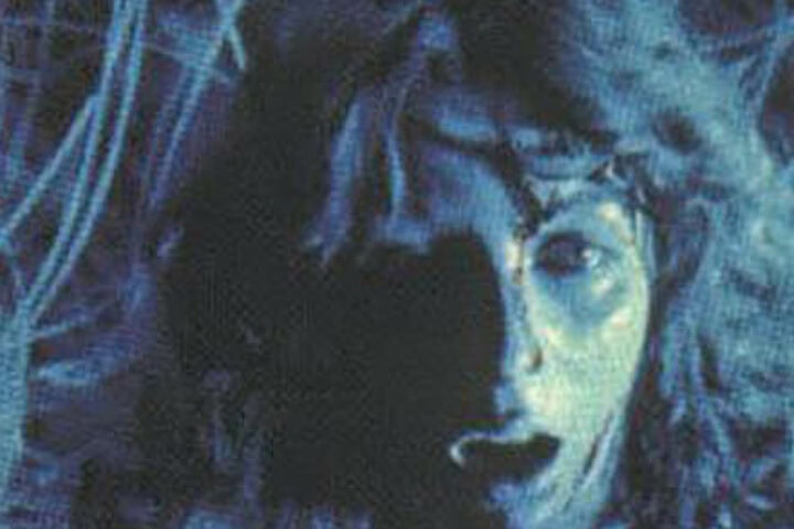 Maitland McDonagh, Broken Mirrors/Broken Minds: The Dark Dreams of Dario Argento