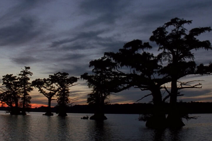 The Best Films of 2005