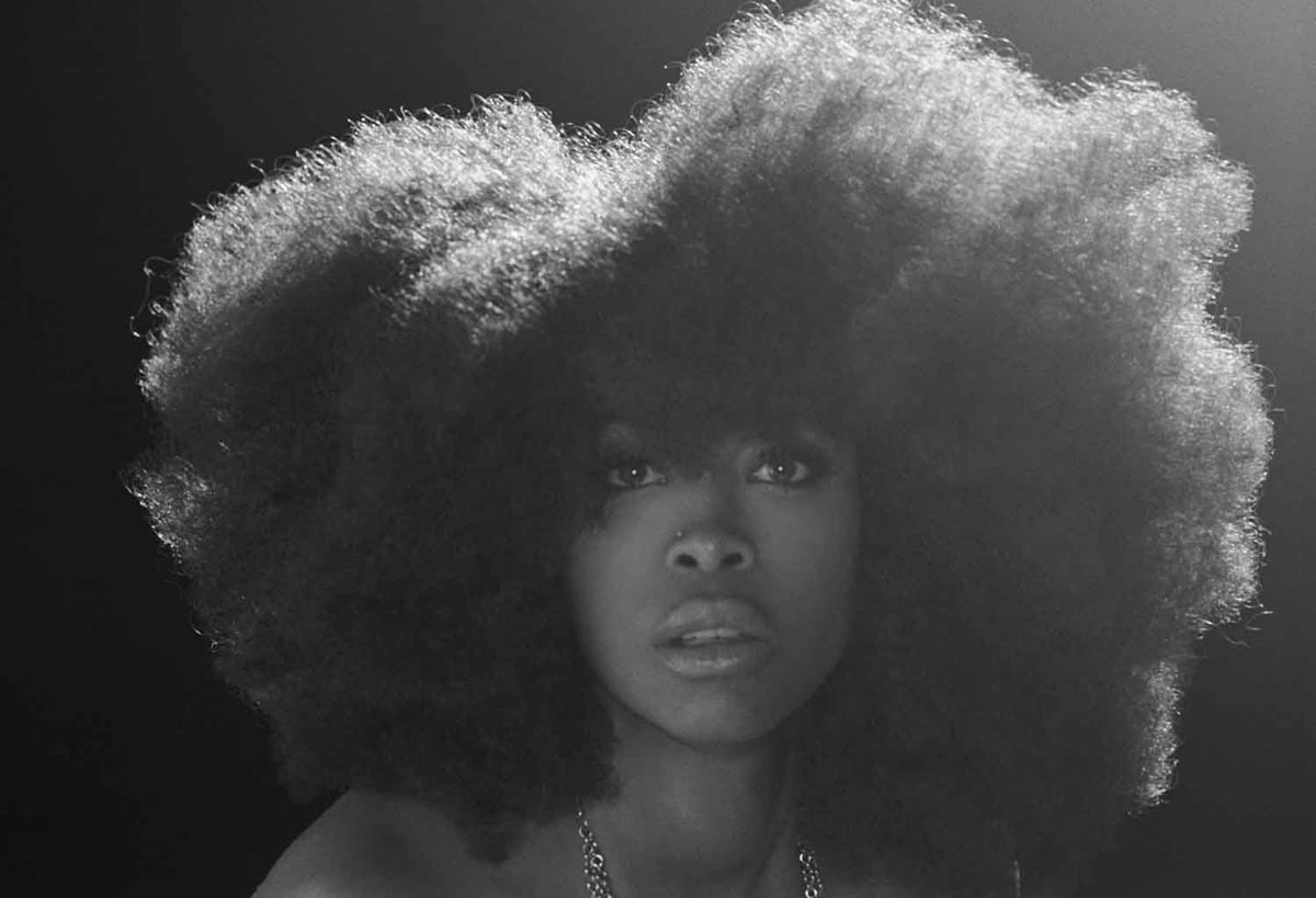Erykah Badu (New York, NY - May 9, 2008)