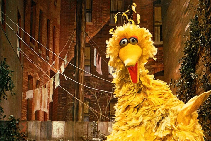 What Sesame Street Taught Me About Wall Street