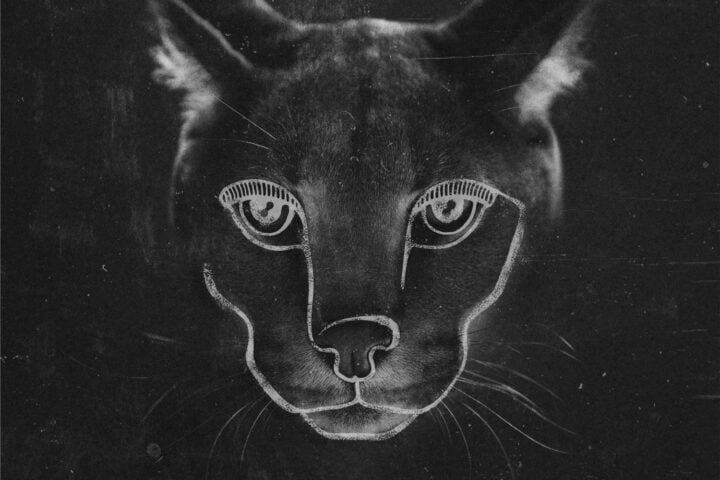 Disclosure, Caracal
