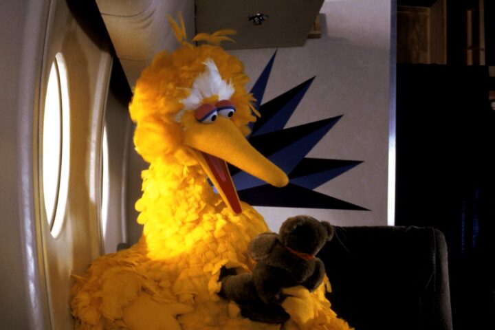 Summer of '85: Follow That Bird