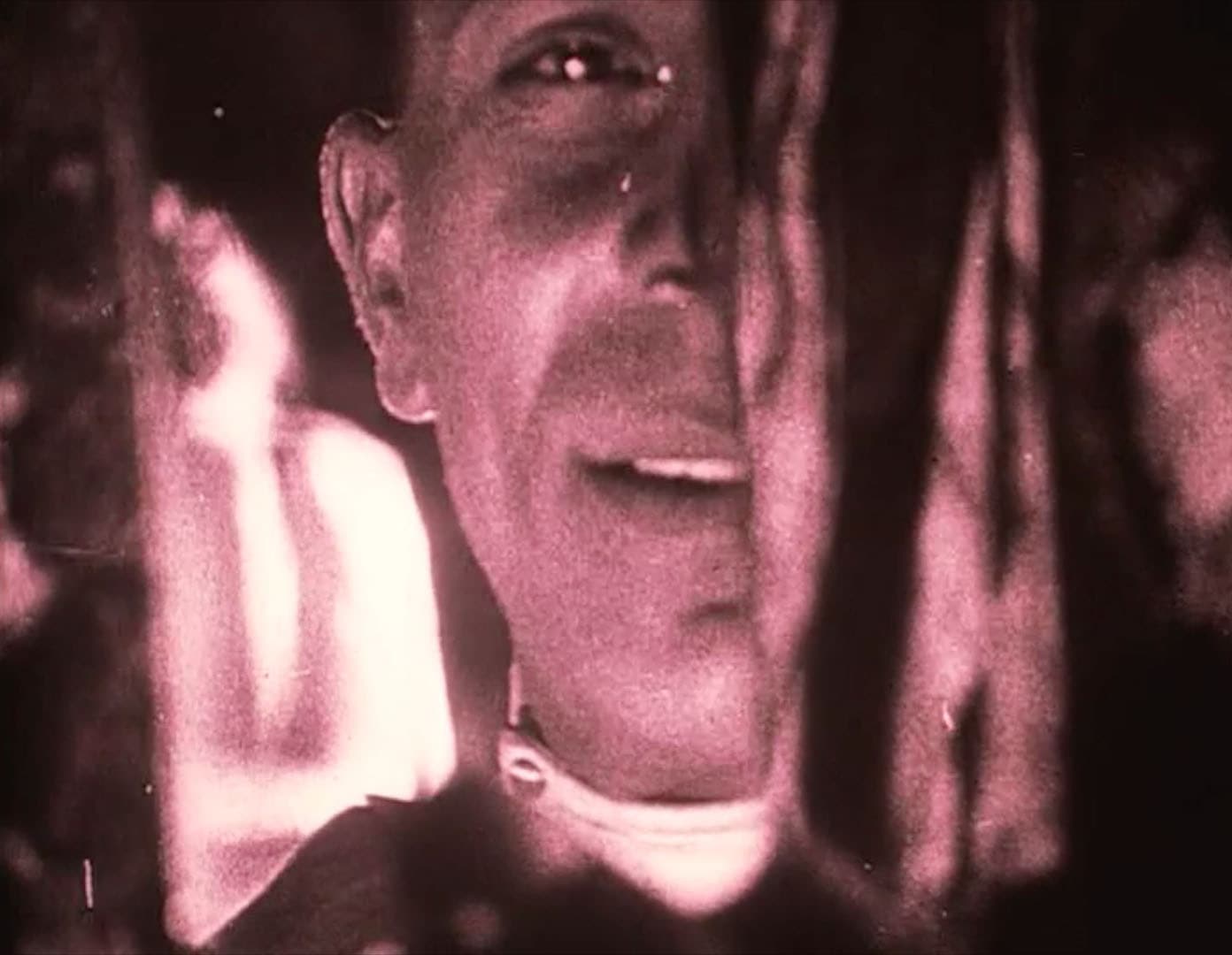 Viennale 2015: And If I Die, I Won't Stay Dead, The Thoughts That Once We Had, and The Exquisite Corpus