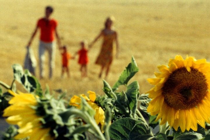 Agnès Varda's Le Bonheur on Criterion