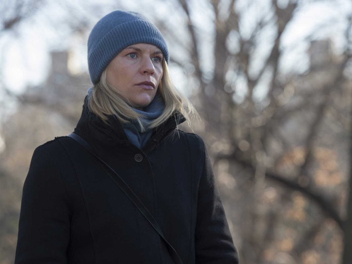 Homeland Recap: Season 6, Episode 9, Sock Puppets