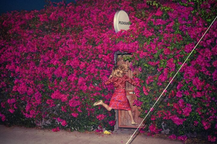 Feist, Pleasure