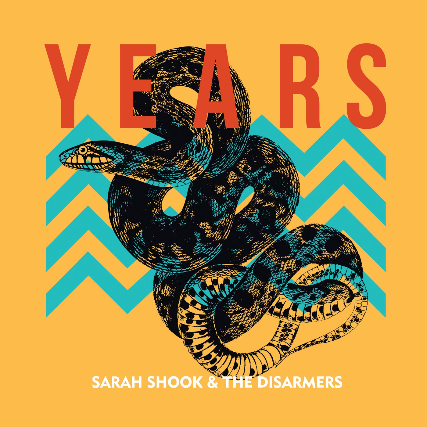 Sarah Shook & the Disarmers, Years