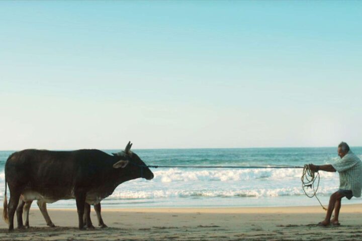 Art of the Real 2015: Los Ausentes and Greetings to the Ancestors