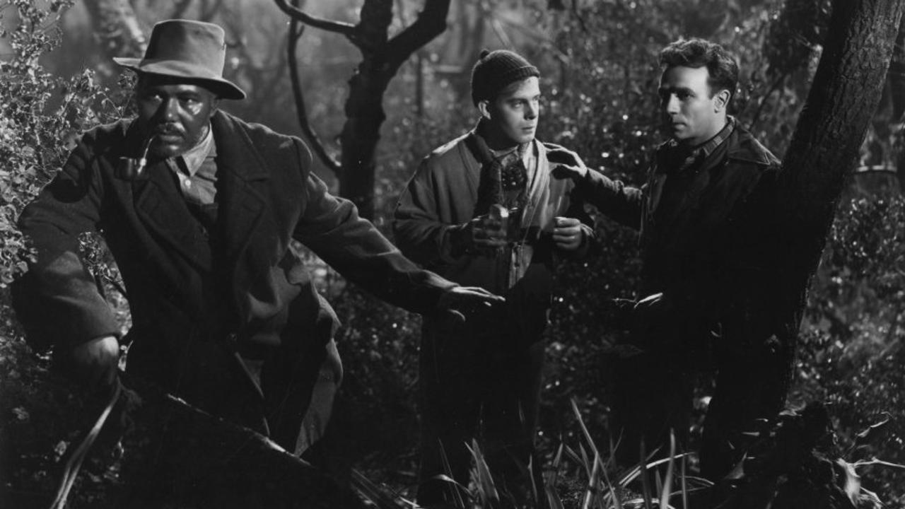 Frank Borzage's Moonrise