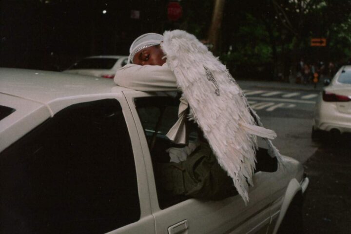 Blood Orange, Negro Swan