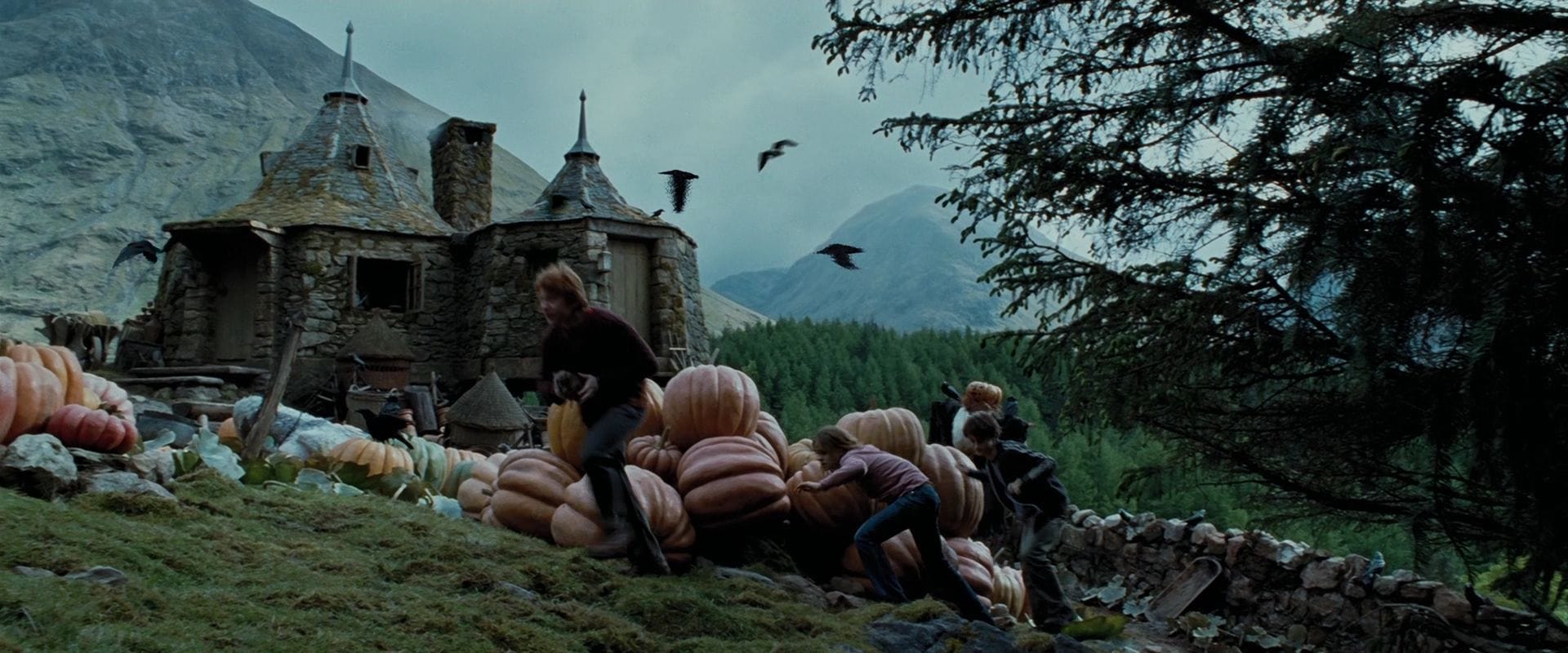 Week with a Wizard, Day 3: Harry Potter and the Prisoner of Azkaban