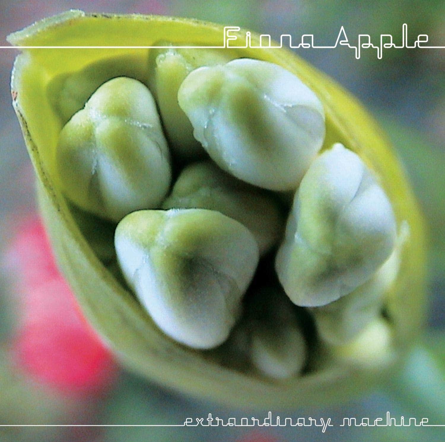 Fiona Apple, Extraordinary Machine (Jon Brion Version)