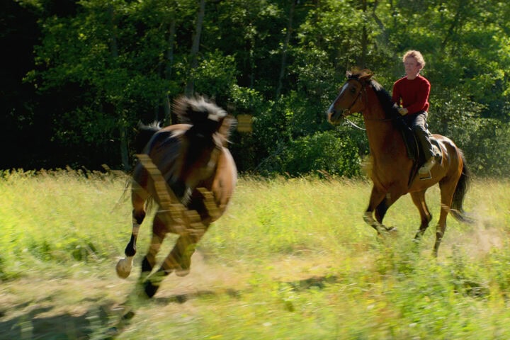 Out Stealing Horses